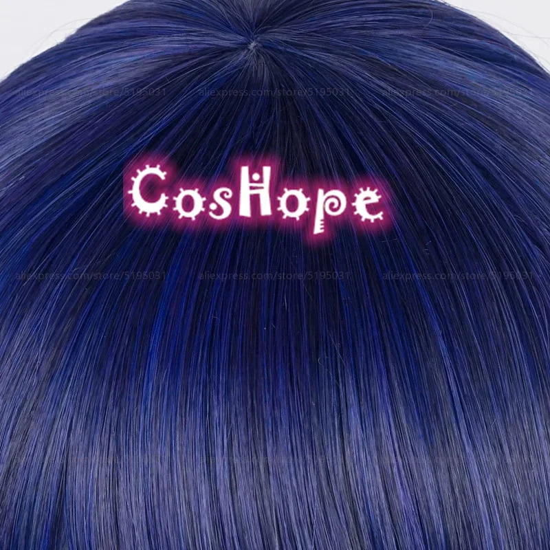 2025 バアル・ライデン・将軍 85cm 青紫アニメコスプ - Anime Cosplay Blue Hair のレビューと価格